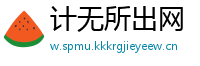 计无所出网